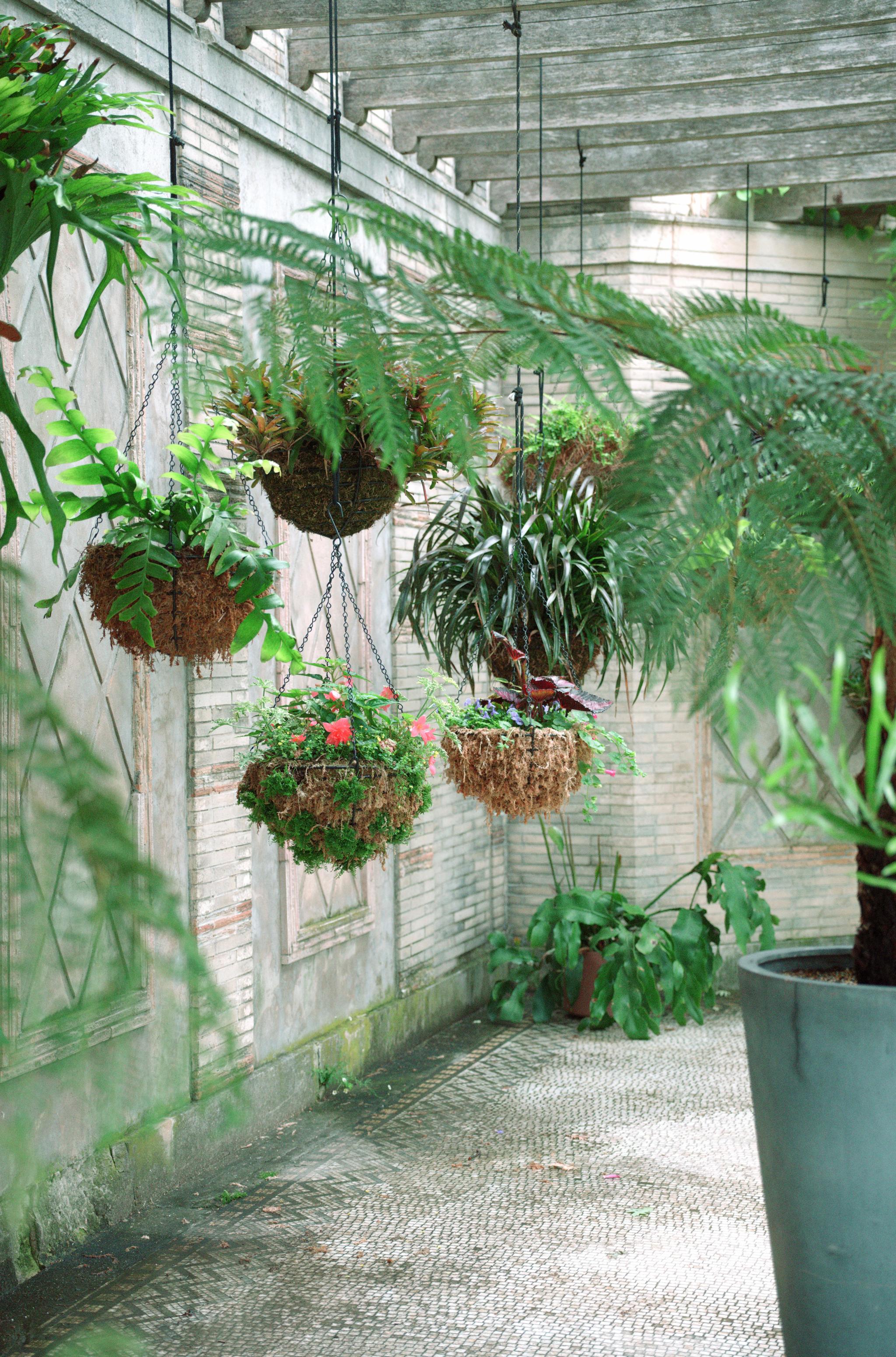 c2_L1011240.jpg
